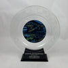 Johnny Rutherford's 2011 Miles of Memories Plate Award