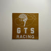 Original GTS Racing Decal