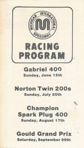 1980 Gabriel 400 Michigan International Speedway 50-50 Drawing Ticket